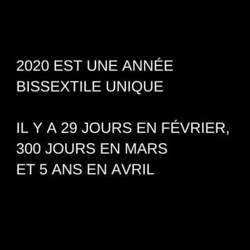 FB_IMG_1586608735857.jpg